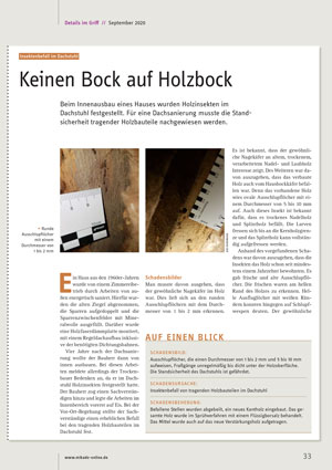 Keinen-Bock-auf-Holzbock